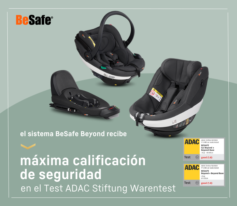 still image web besafe beyond system 800x696 es 1